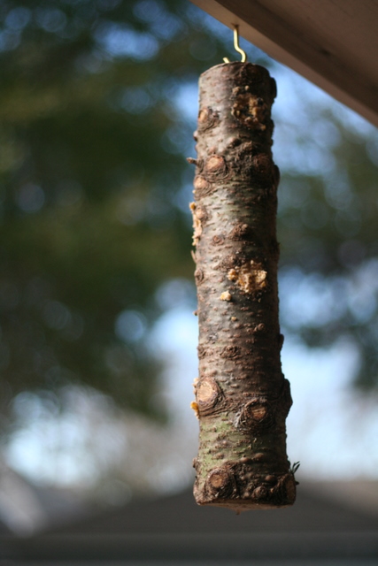 hanging log suet feeder