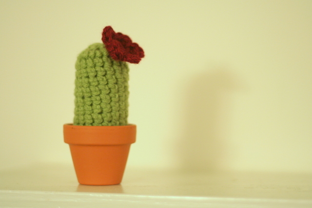 crochet cactus with flower