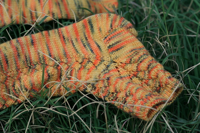 salis socks